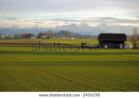 Swiss farm land with farm house and high Alpine mountains in background