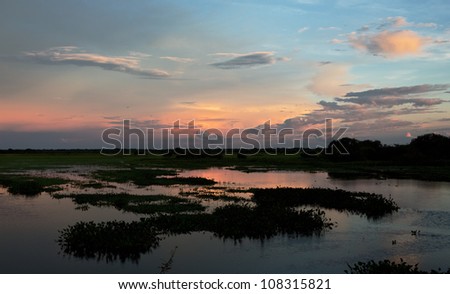 Sunset in the world of water of the El Cedral - Los Llanos, Venezuela, Latin America