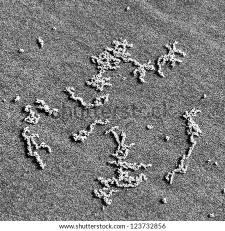 Wonderful pictures on the sand at low tide of the Mediterranean sea - Israel (black and white)