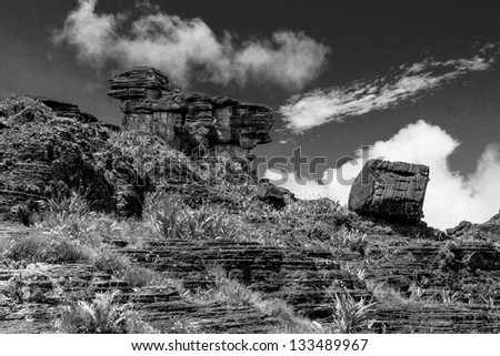Bizarre ancient rocks of the plateau Roraima tepui - Venezuela, Latin America (black and white)