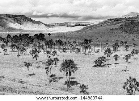 Beautiful landscape characteristic for the Gran Sabana - Venezuela, Latin America (black and white)