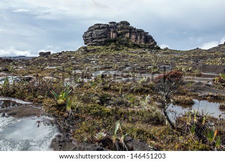 Bizarre ancient rocks of the plateau Roraima tepui - Venezuela, Latin America