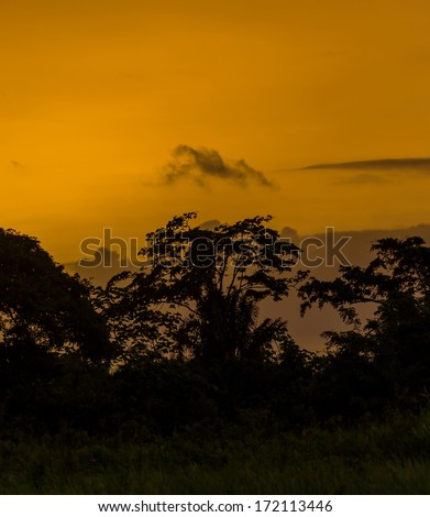 A beautiful sunset in the Delta of the Orinoco - Venezuela, Latin America