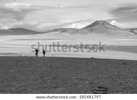 Laguna in a lifeless desert. Altiplano high plateau, Bolivia (black and white)