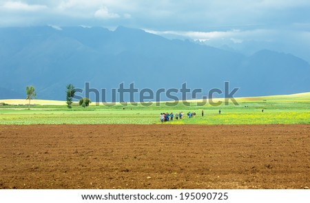 Farmers in the Sacred Valley of the Incas - Peru, Latin America