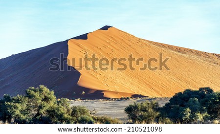 Dune in Sossusvlei plato of Namib Naukluft National Park - Namibia, South-West Africa