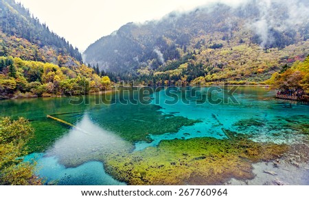 Panorama of the lake with submerged tree trunks. Jiuzhaigou Valley was recognize by UNESCO as a World Heritage Site and a World Biosphere Reserve - China