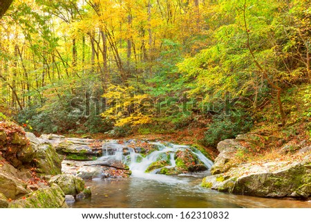 Roaring Pigeon River cascades through a lush forest and mossy boulders, Great Smoky Mountains National Park, Tennessee