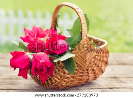 Beautiful roses in the basket