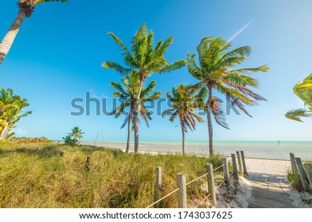 Similar – Foto Bild Strandeingang mit Blick auf das Meer