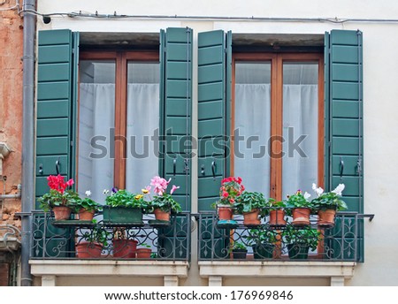 windows with green shutters ans flowers on the sill