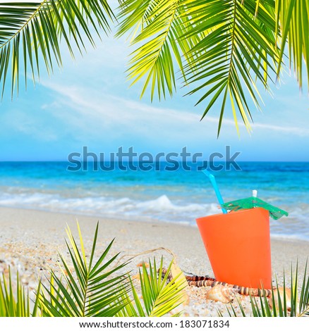 orange drink under a palm branch
