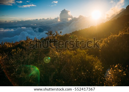 Similar – Image, Stock Photo ***3000*** Reflection of sun in puddle with ice and foliage closeup bokeh