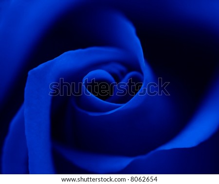 Blue rose with heart symbol in center. Look like \