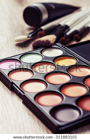 Professional makeup palette, makeup brushes, makeup products (Toning, instagram filter)