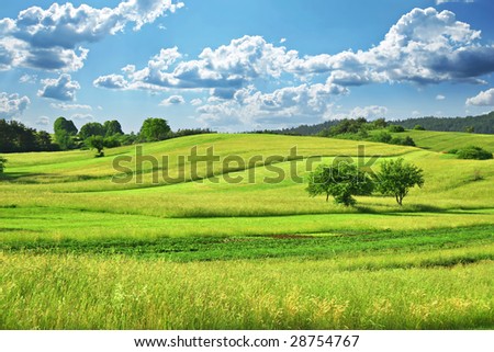 Green Grass Field  Landscape with fantastic clouds in the background