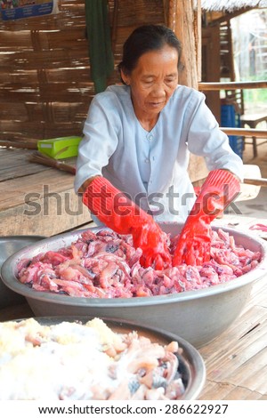 HSIPAW, MYANMAR - FEB 19, 2015 - Village women preparing large pot of fermented sour fish for a festival,  Hsipaw,  Myanmar (Burma)