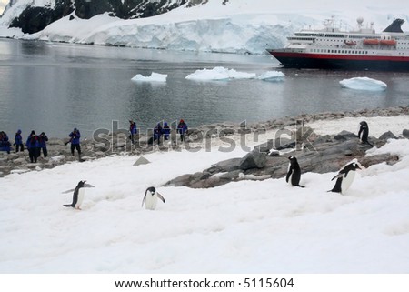 Tourists photographing Gentoo penguin rookery with cruise ship anchored in the bay	[Pygoscelis papua]	Neko Harbor, Andvord Bay,	Antarctica