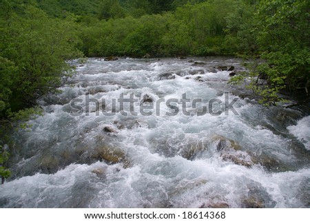 Forest and white water rapids,	Dewet Lakes trail,	Juneau,	Alaska