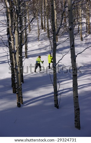 Yellow parka snow shoe hiker, on winter trail with bare aspens,  Cordillera, Colorado, Rocky Mountains