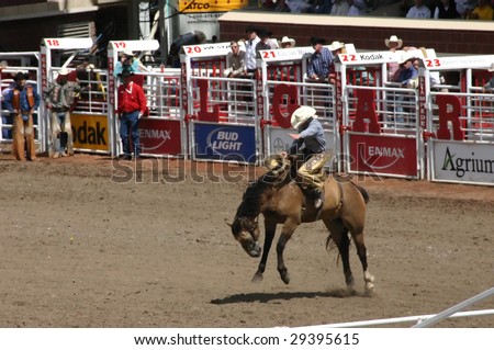 CALGARY, CANADA - CIRCA JULY 2004 : Cowboy rides bucking bronco at Calgary Stampede circa July 2004 in Alberta, Canada.