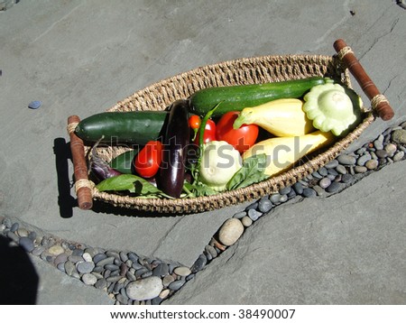 Summer bounty - Fresh vegetables in a woven basket   Seattle garden, Pacific Northwest