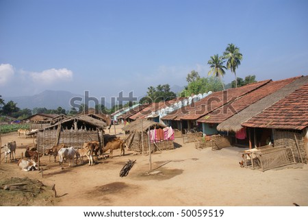 Homes and cattle of a tribal village in  Orissa, India