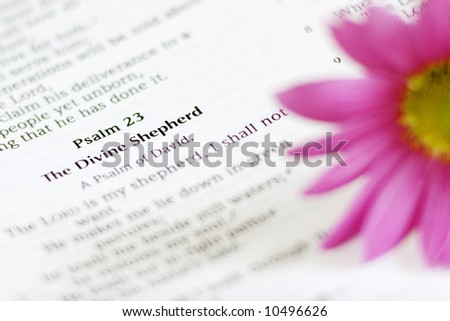 Opened Bible showing 23 psalm, and pink flower