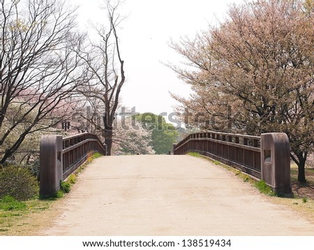 Small bridge