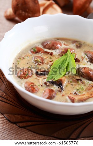Mushroom soup with field mushroom (agaricus) and shiitake mushroom