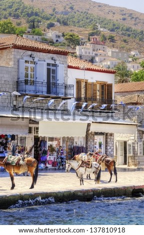 Donkeys at the Greek island, Hydra. They are the only means of transport on the island, no cars are allowed. On the background a view of some local architecture and greek flags