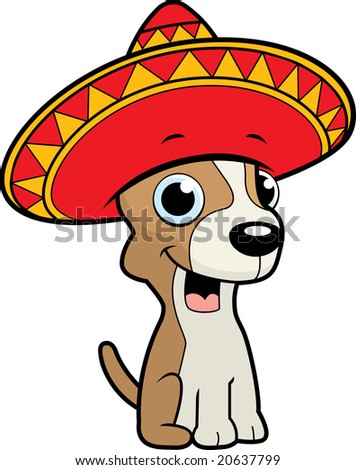 Chihuahua Sombrero Stock Photo 20637799 : Shutterstock