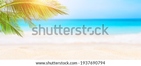 Panorama of blurred blue sky and leaves of coconut palm tree on white beach. Landscape of tropical summer. Summer beach vacation concept.