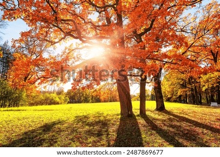 Similar – Image, Stock Photo Golden October