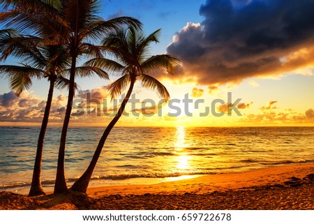 Similar – Image, Stock Photo Silhouettes of palms against sunset sky on beach