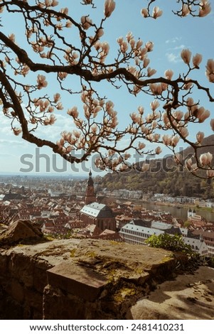 Similar – Foto Bild Stadtansicht von Heidelberg