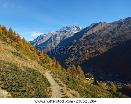 Golden forest and high mountain, Zermatt