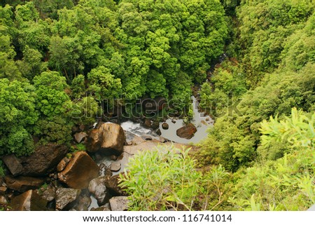 A forest with thick green grown trees and small water cascade surrounded with rocks