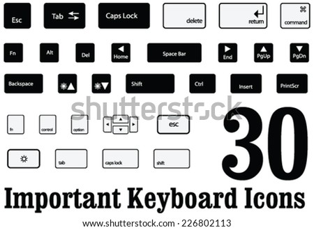 30 important Computer key board keys and buttons of mac and windows in Vector