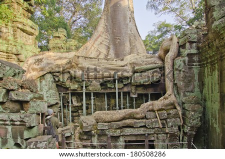 SIEM REAP/CAMBODIA - JANUARY 05. Scenic view of ancient square and huge tree root in front of destroyed Ta Prohm temple on Jan 05, 2014 in Angkor archeological complex, Cambodia.