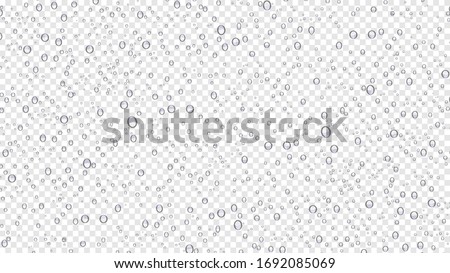 Drops water rain on transparent background, realistic style, vector elements. Clean drop condensation. Vector pure bubbles on window glass
 商業照片 © 