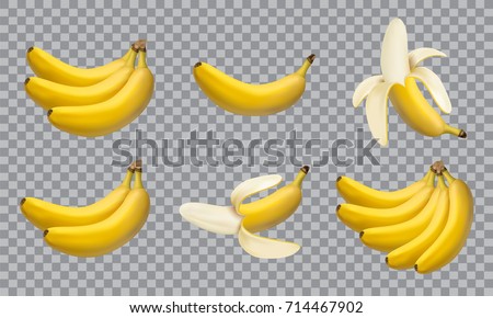 Set of realistic illustration bananas, 3d vector icons. Banana,half peeled banana,bunch of bananas isolated on white background, banana icon