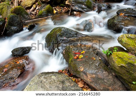 Forest stream running over mossy rocks/Forest Stream