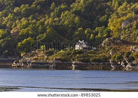 single house in rural scottish landscape with sea in front