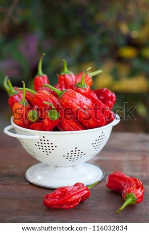 Red peppers in white colander on the wooden desk