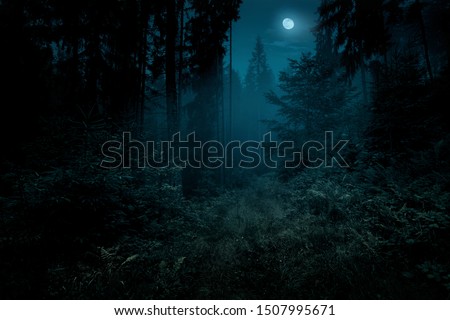 Similar – Image, Stock Photo Full moon over the rooftops