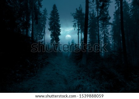 Similar – Image, Stock Photo Summer nights are full of wild adventure and wild brunette girls dressed in red see-through dresses trying to undress. Gorgeous woman and her beautiful curves. Pretty legs. Oh, and green leaves of some kind of bushes as well.
