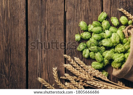 Beer brewing ingredients, hops, and wheat ears on a wooden cracked old table. Beer brewery concept. Hop cones and wheat closeup. Sack of hops and sheaf of wheat on vintage background. ストックフォト © 