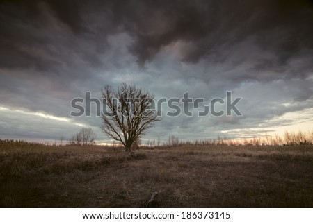 Mystical landscape with dramatic moody stormy sky