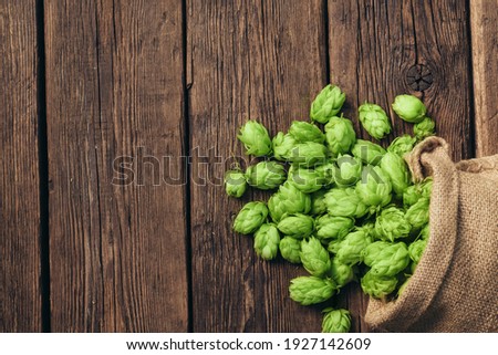 Beer brewing ingredients, hop cones, on a wooden cracked old table. Beer brewery concept. Hop cones closeup. Sack of hops on rustic vintage background. ストックフォト © 